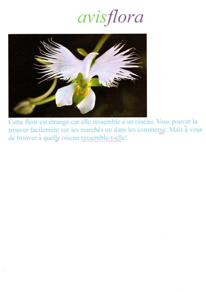 lat-pub-05
